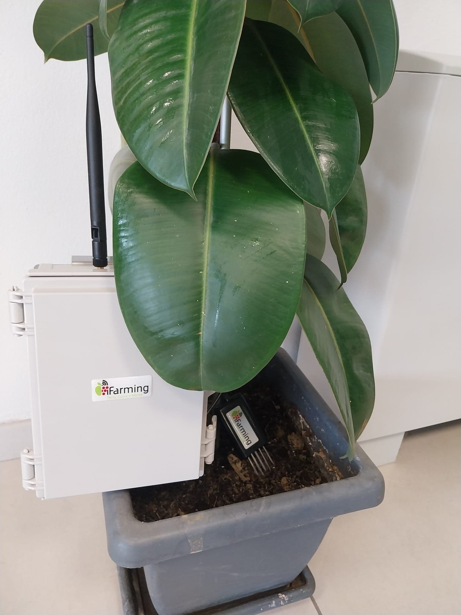 Sonda per il monitoraggio del suolo iFarming