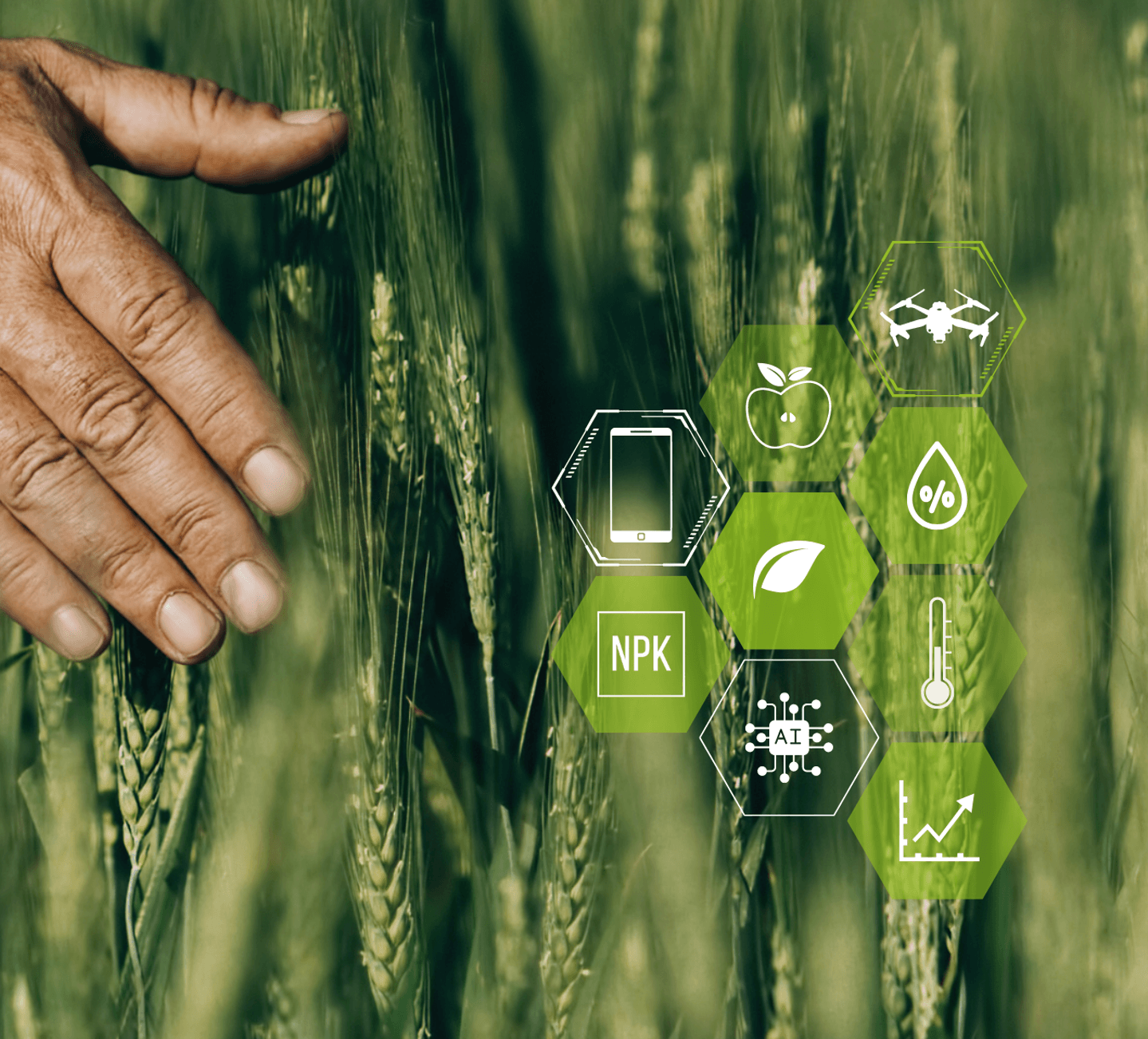 Portale web della piattaforma cloud iFarming